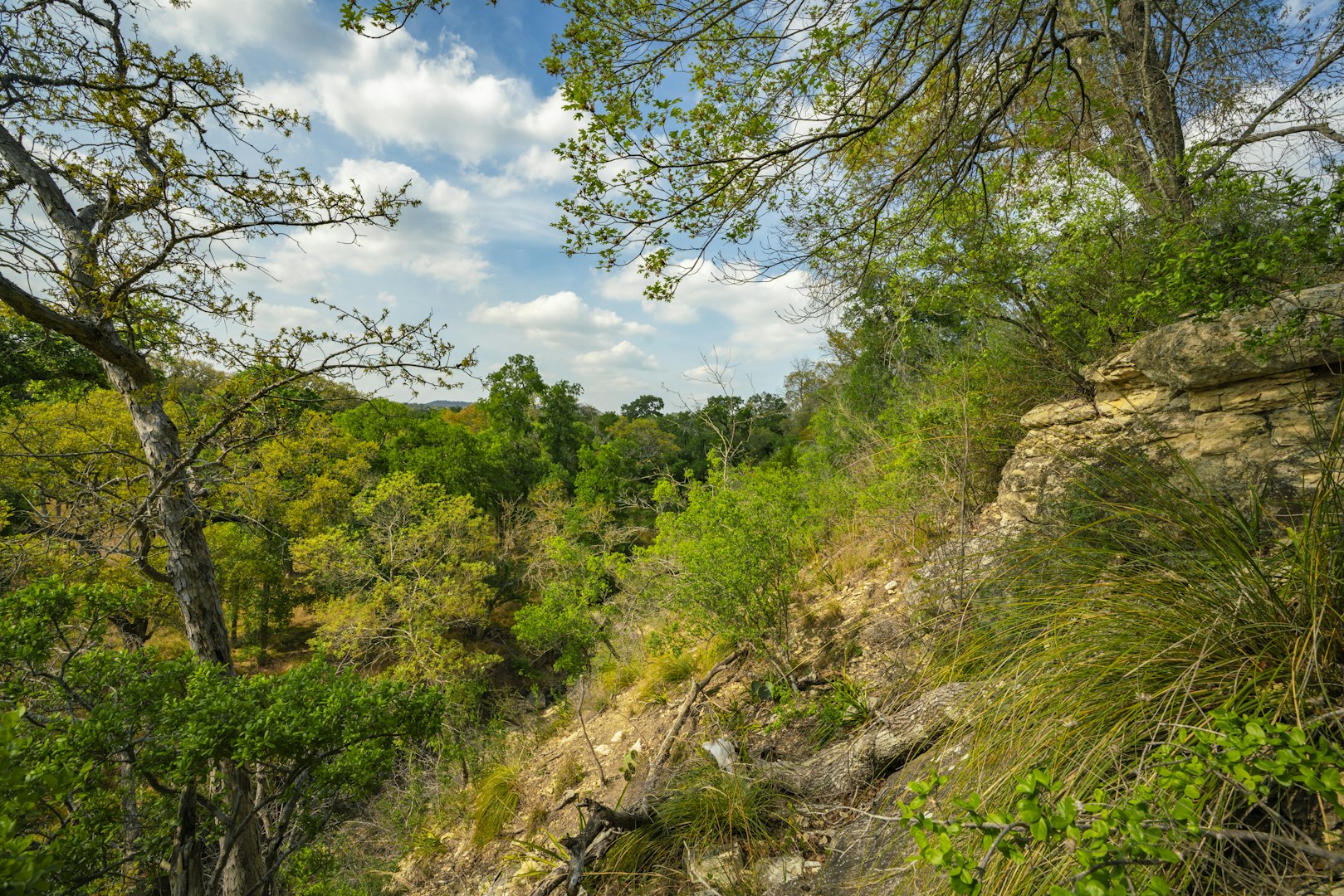 0000 Tbd Ranch To Market Road 473 Comfort TX 78013