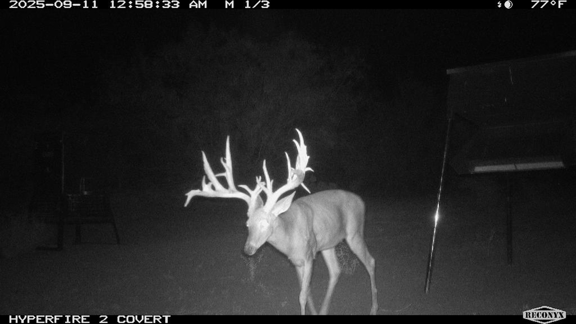 Crystal City TX, Fm 1668