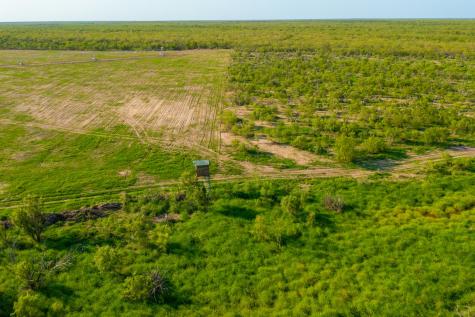 0 Fm 1668 Crystal City TX 78839