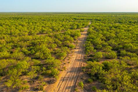 0 Fm 1668 Crystal City TX 78839