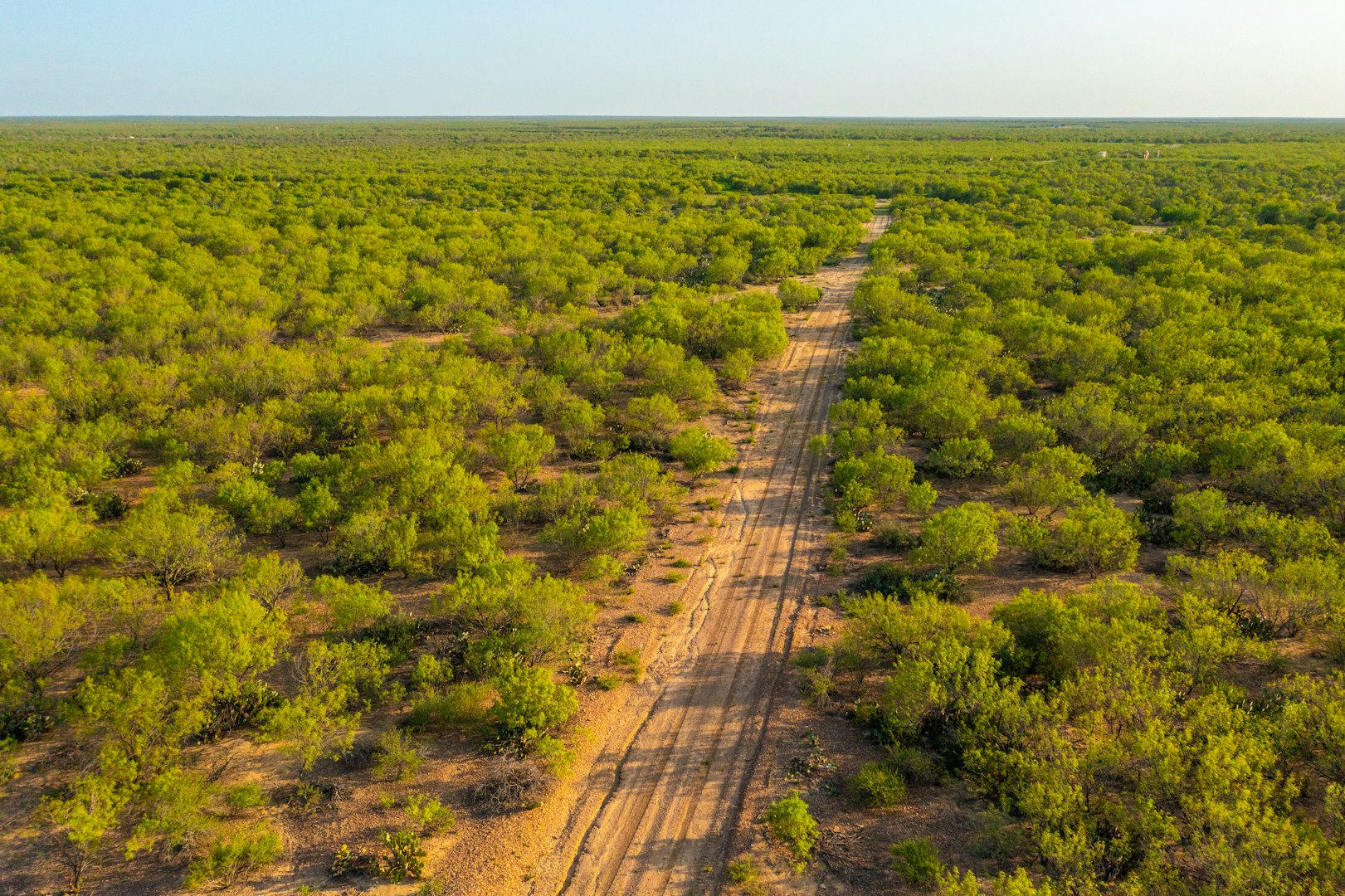 0 Fm 1668 Crystal City TX 78839