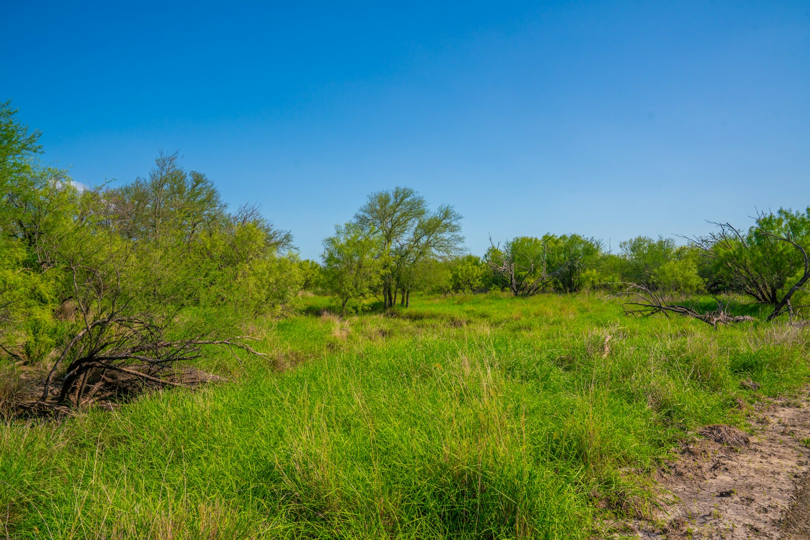 0 Fm 1668 Crystal City TX 78839