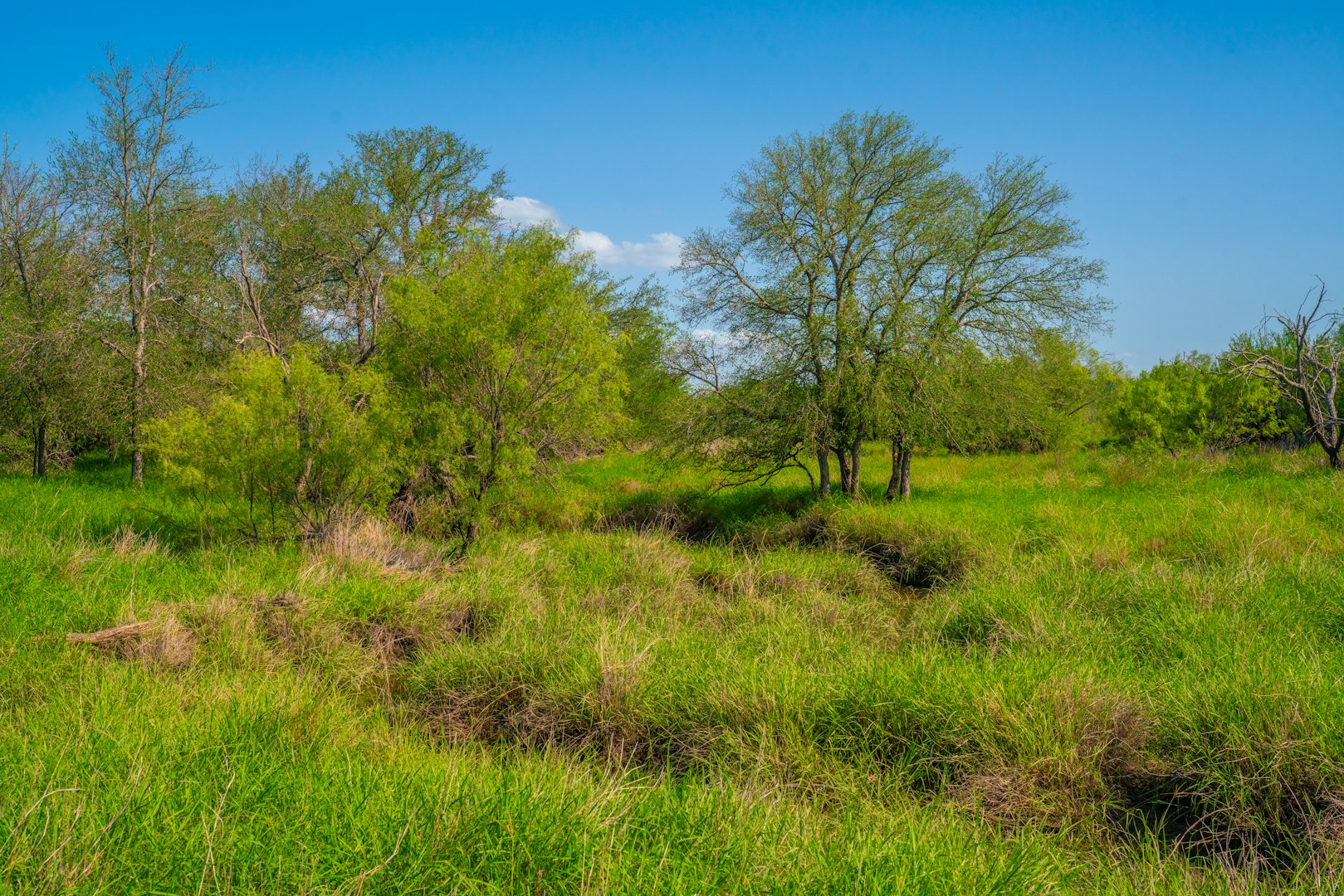 0 Fm 1668 Crystal City TX 78839