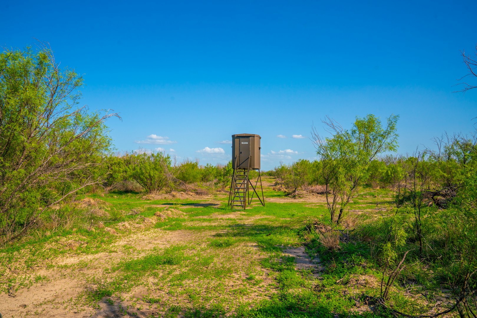 0 Fm 1668 Crystal City TX 78839