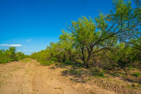 0 Fm 1668 Crystal City TX 78839