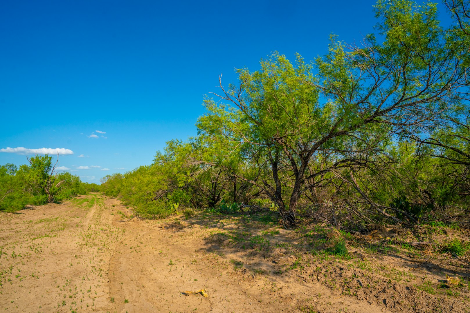 0 Fm 1668 Crystal City TX 78839