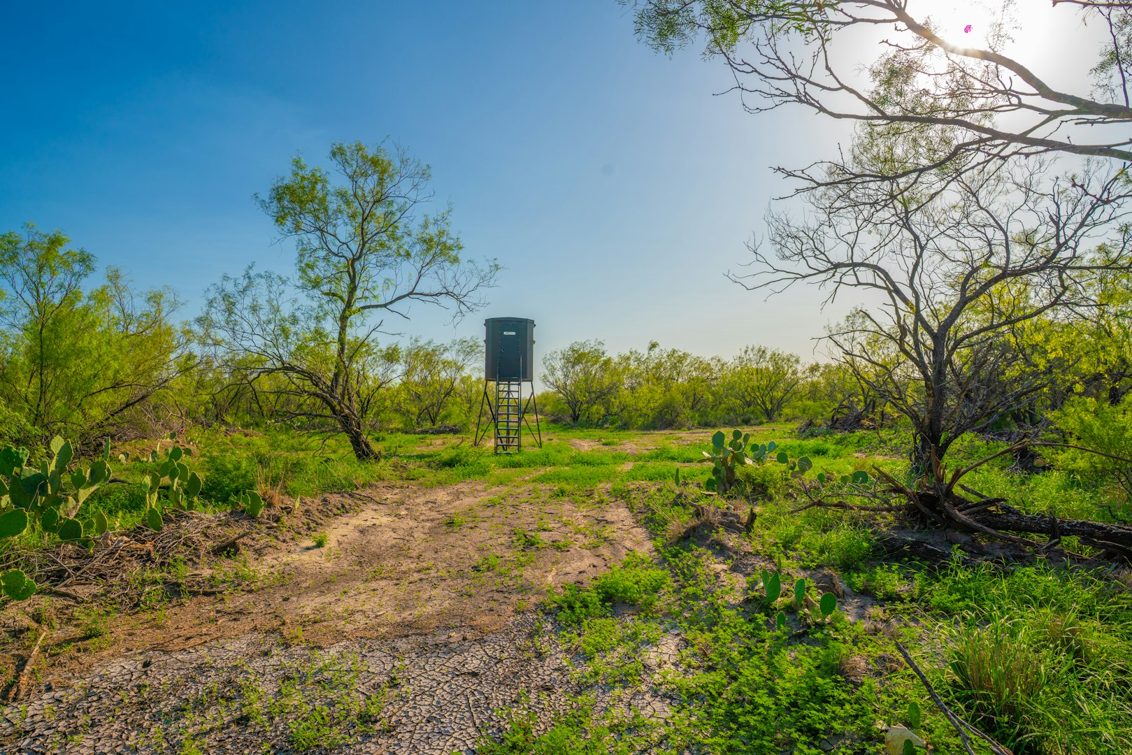 0 Fm 1668 Crystal City TX 78839