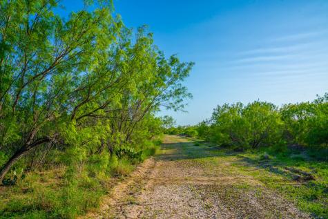 0 Fm 1668 Crystal City TX 78839