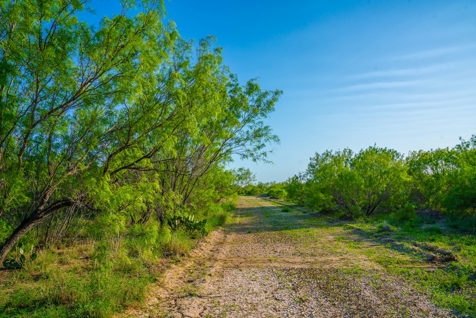 0 Fm 1668 Crystal City TX 78839