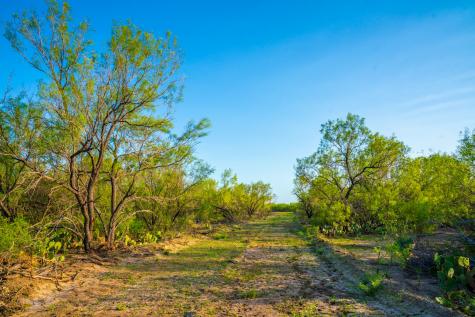 0 Fm 1668 Crystal City TX 78839