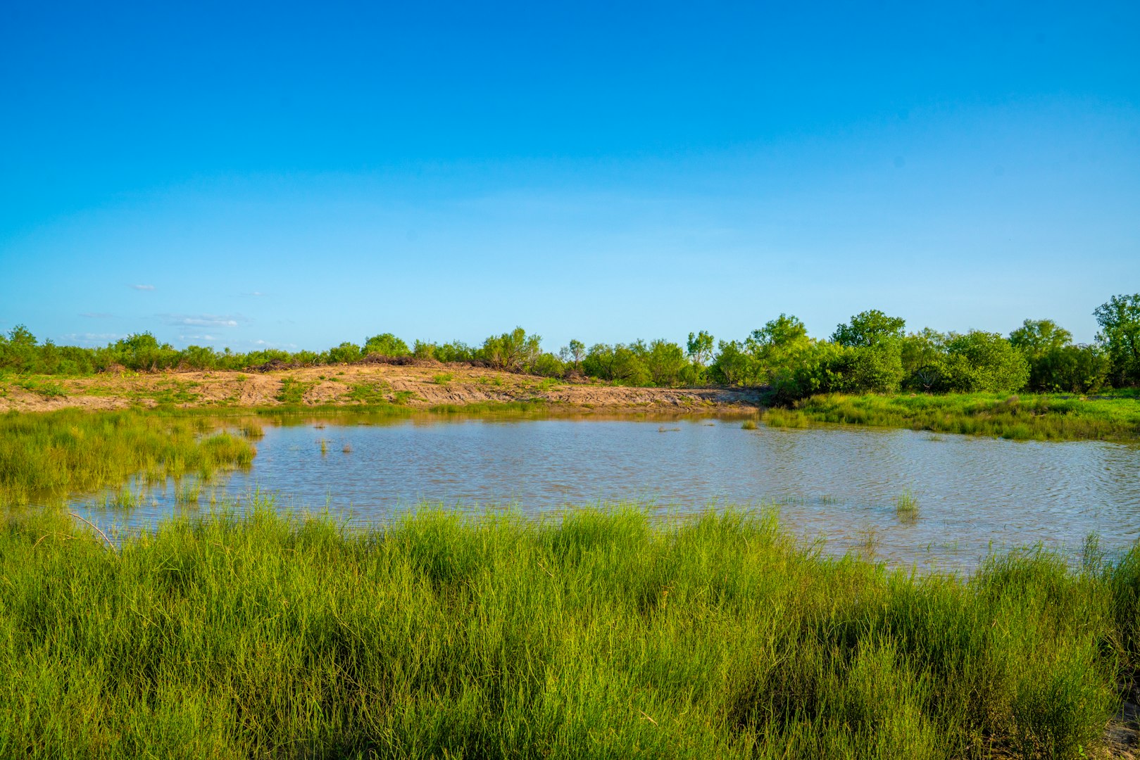 0 Fm 1668 Crystal City TX 78839