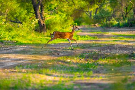 0 Fm 1668 Crystal City TX 78839