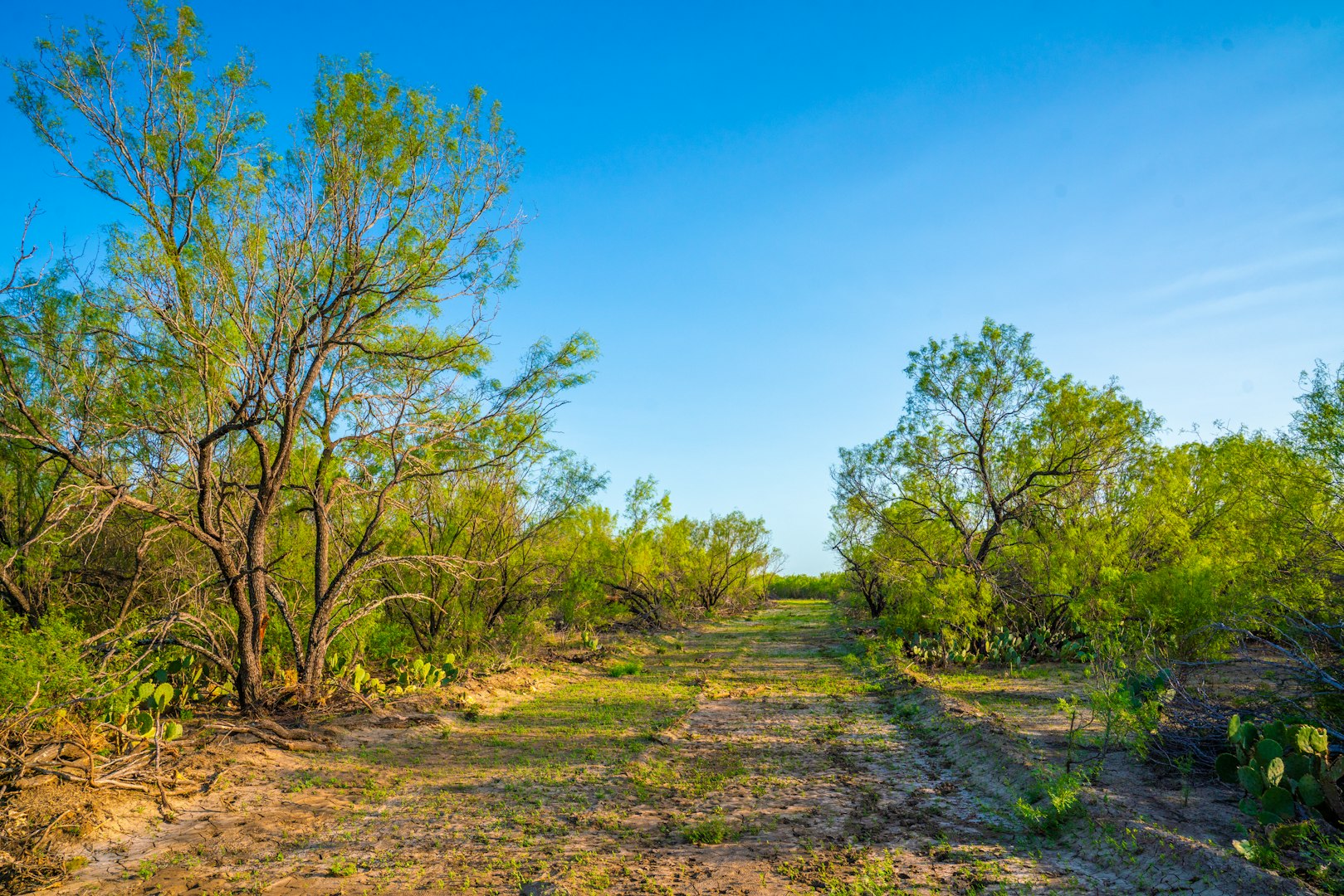 0 Fm 1668 Crystal City TX 78839