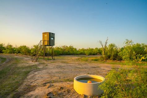 0 Fm 1668 Crystal City TX 78839