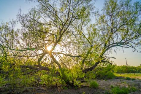 0 Fm 1668 Crystal City TX 78839