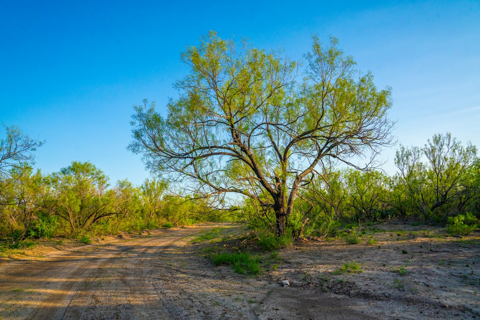 0 Fm 1668 Crystal City TX 78839