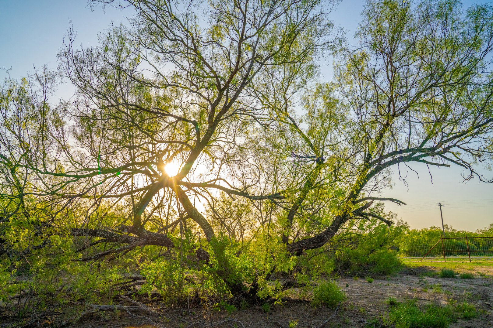 0 Fm 1668 Crystal City TX 78839