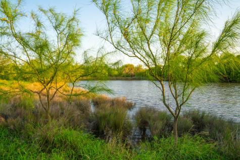 0 Fm 1668 Crystal City TX 78839