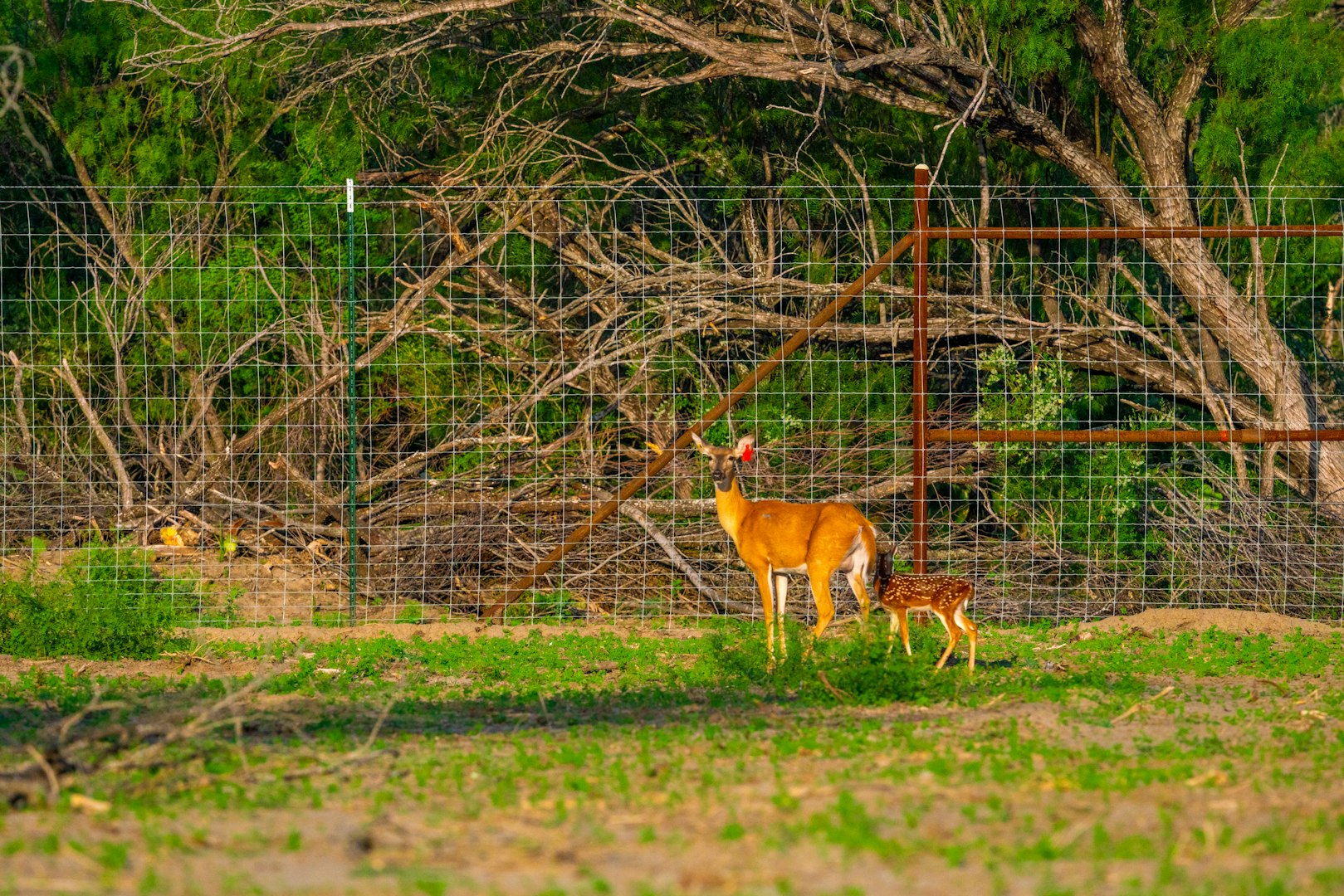 0 Fm 1668 Crystal City TX 78839