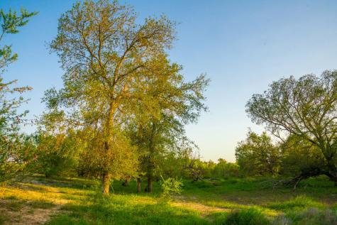 0 Fm 1668 Crystal City TX 78839