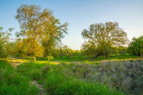 0 Fm 1668 Crystal City TX 78839