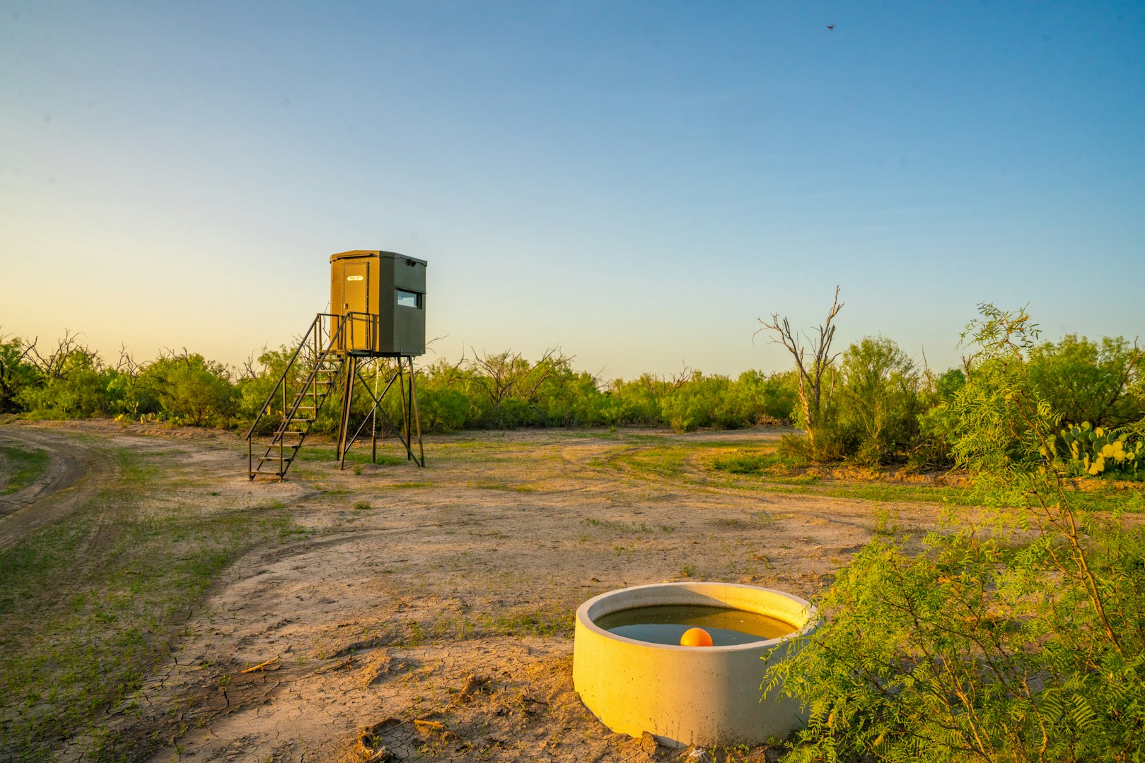 0 Fm 1668 Crystal City TX 78839