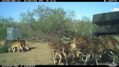 0 Fm 1668 Crystal City TX 78839