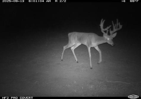 0 Fm 1668 Crystal City TX 78839