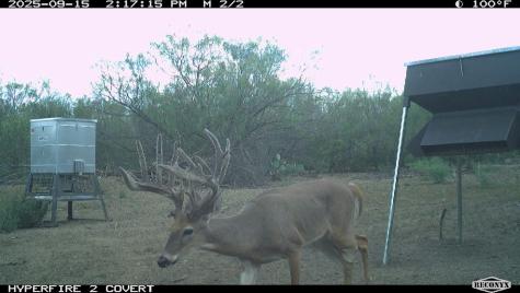 0 Fm 1668 Crystal City TX 78839