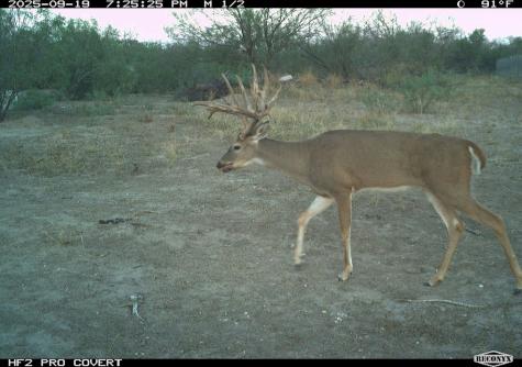 0 Fm 1668 Crystal City TX 78839