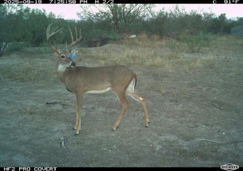 0 Fm 1668 Crystal City TX 78839