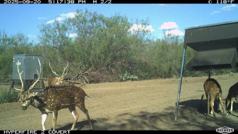 0 Fm 1668 Crystal City TX 78839