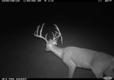 0 Fm 1668 Crystal City TX 78839