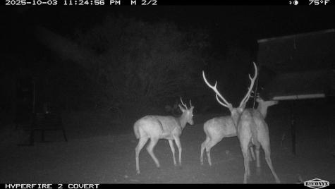 0 Fm 1668 Crystal City TX 78839