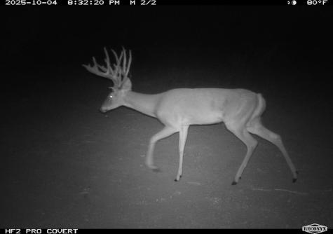 0 Fm 1668 Crystal City TX 78839