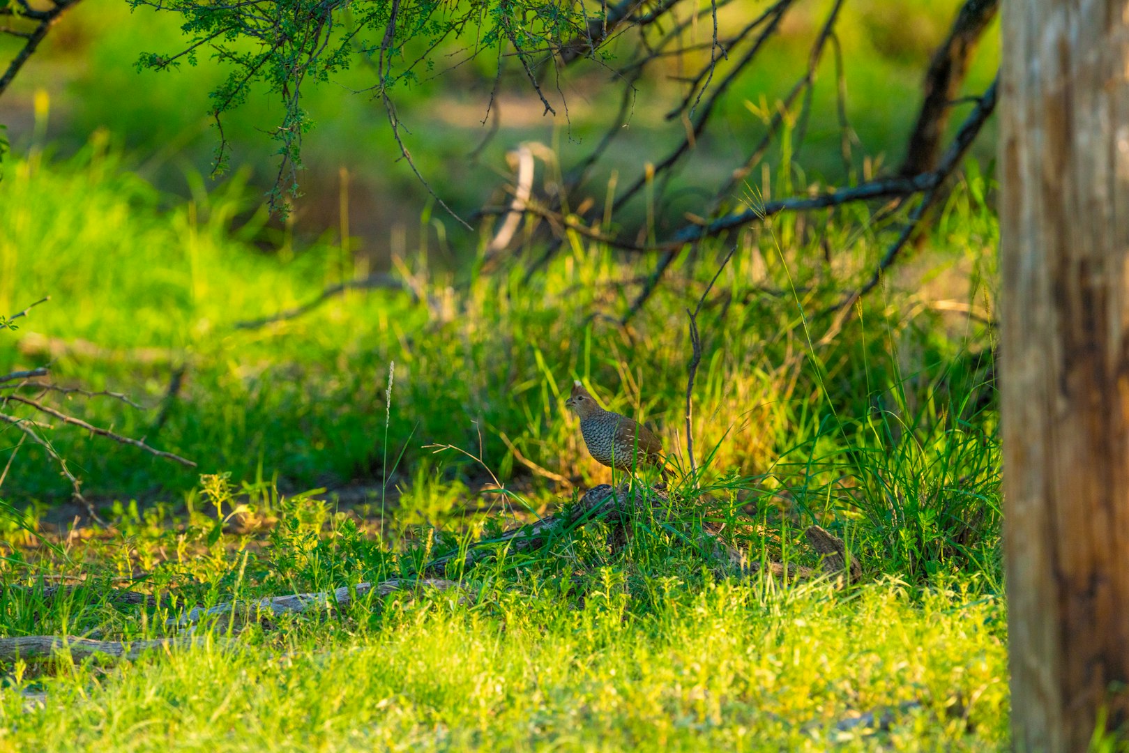 0 Fm 1668 Crystal City TX 78839