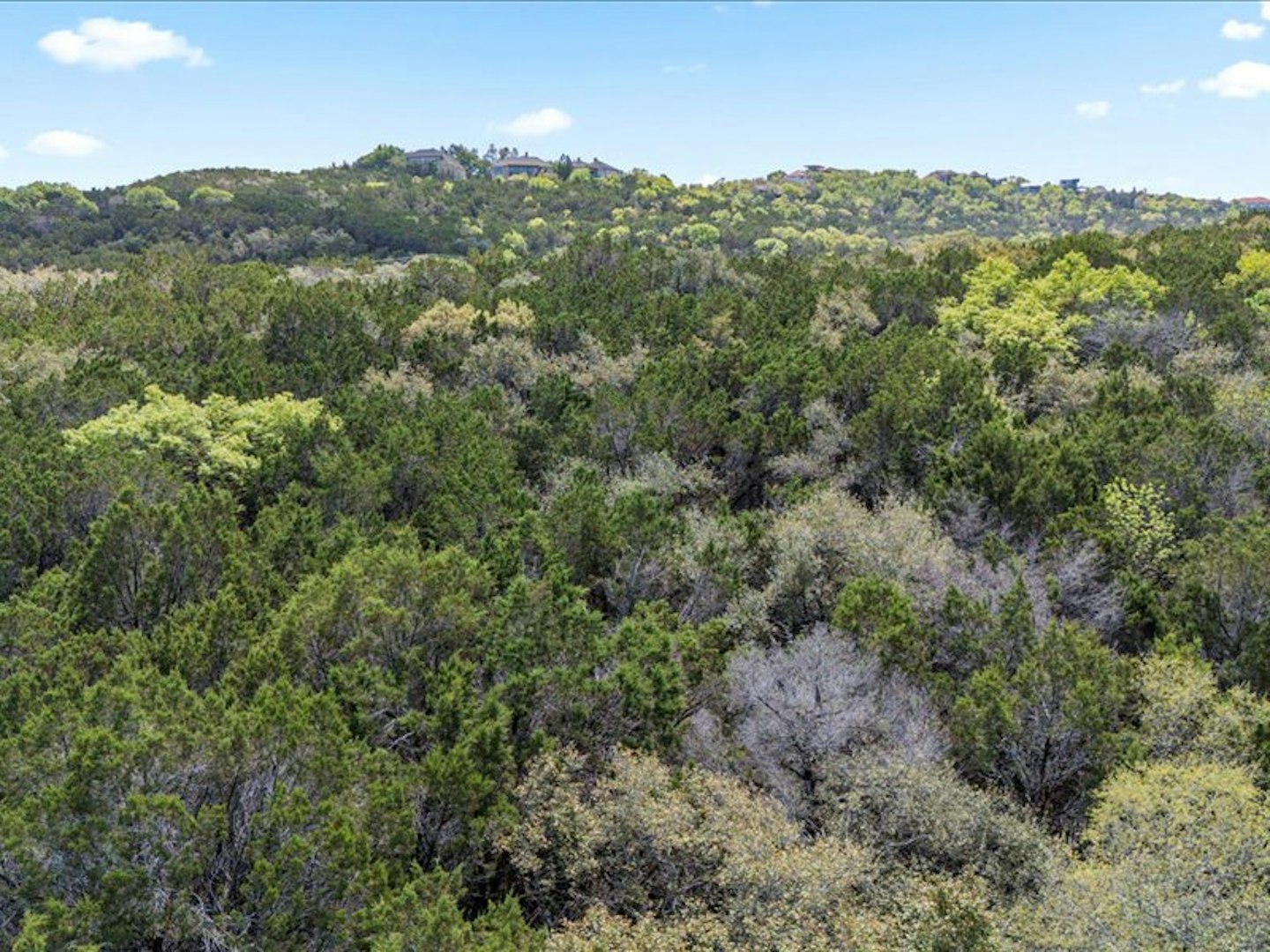 0000 City Park Road & Ranch To Market Road 2222 Austin TX 78730