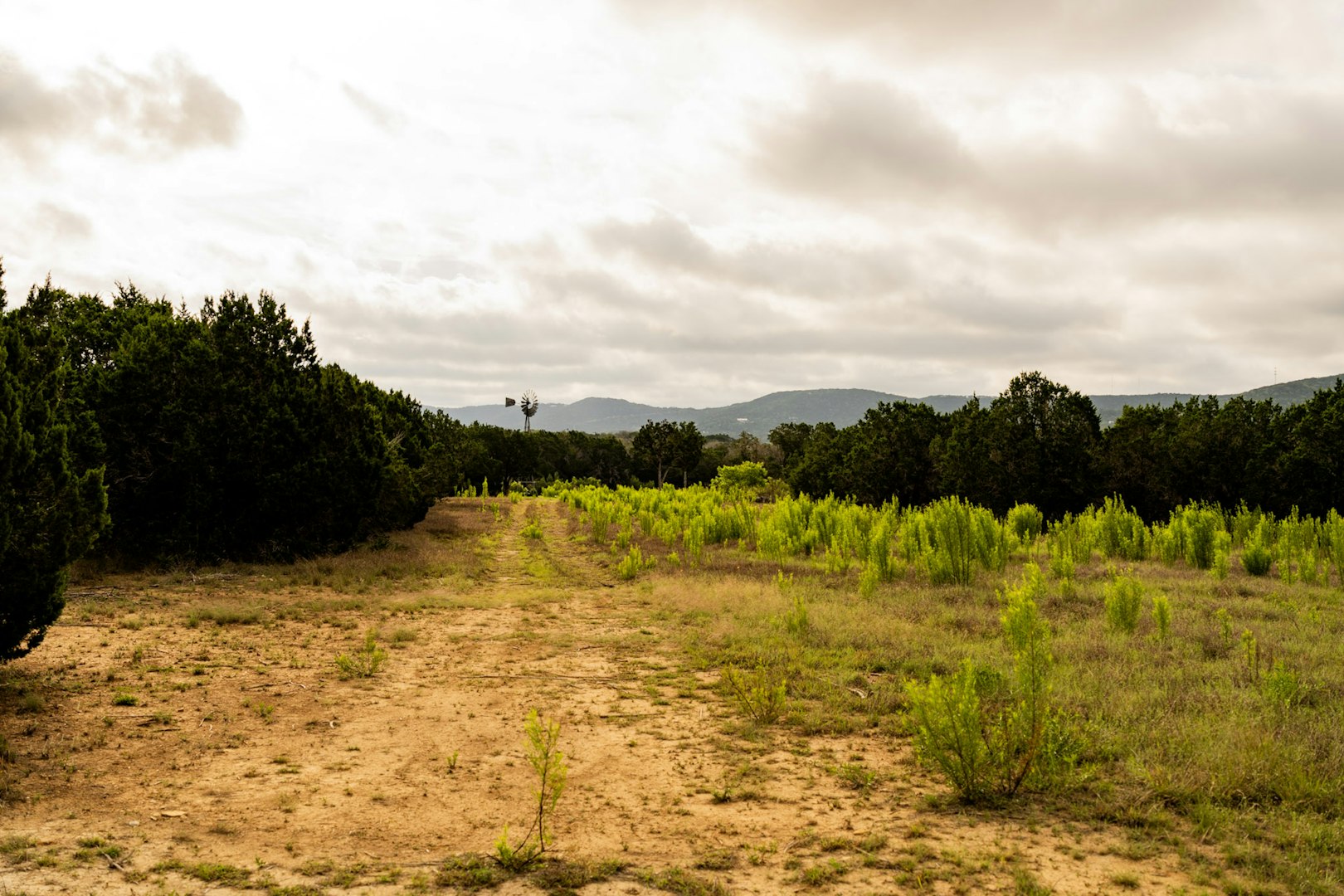 3584 Privilege Creek Road Pipe Creek TX 78063