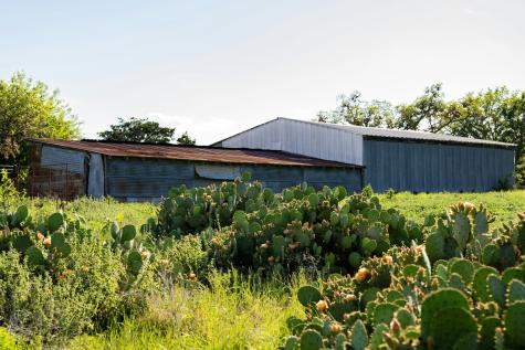3584 Privilege Creek Road Pipe Creek TX 78063