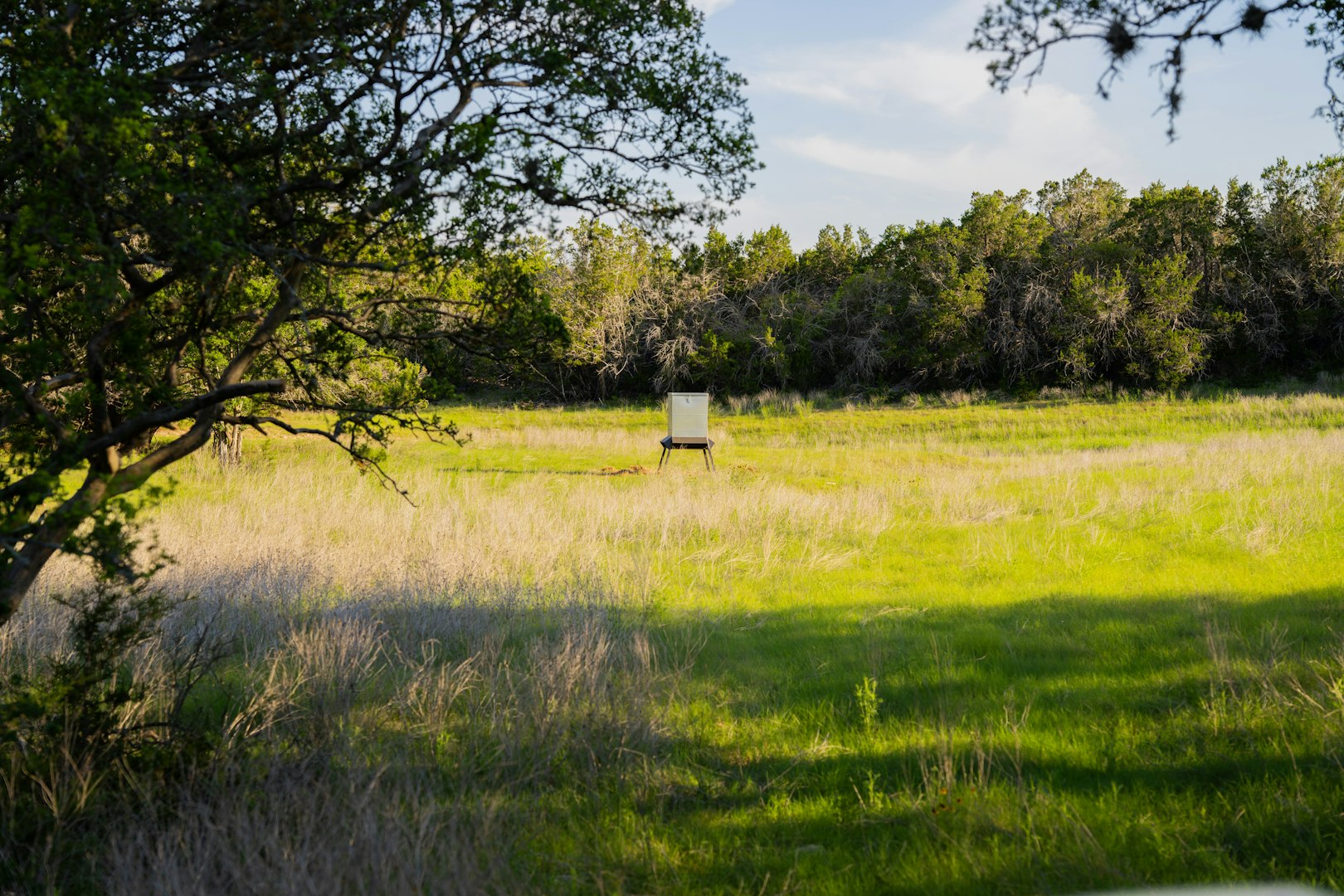 3584 Privilege Creek Road Pipe Creek TX 78063