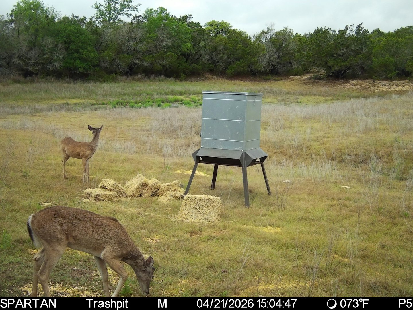 3584 Privilege Creek Road Pipe Creek TX 78063