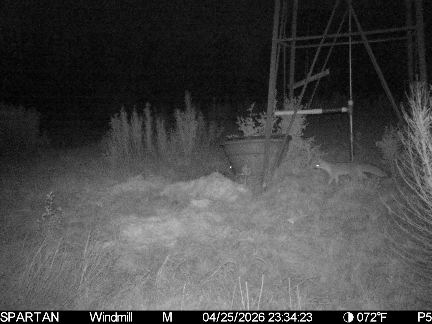 3584 Privilege Creek Road Pipe Creek TX 78063