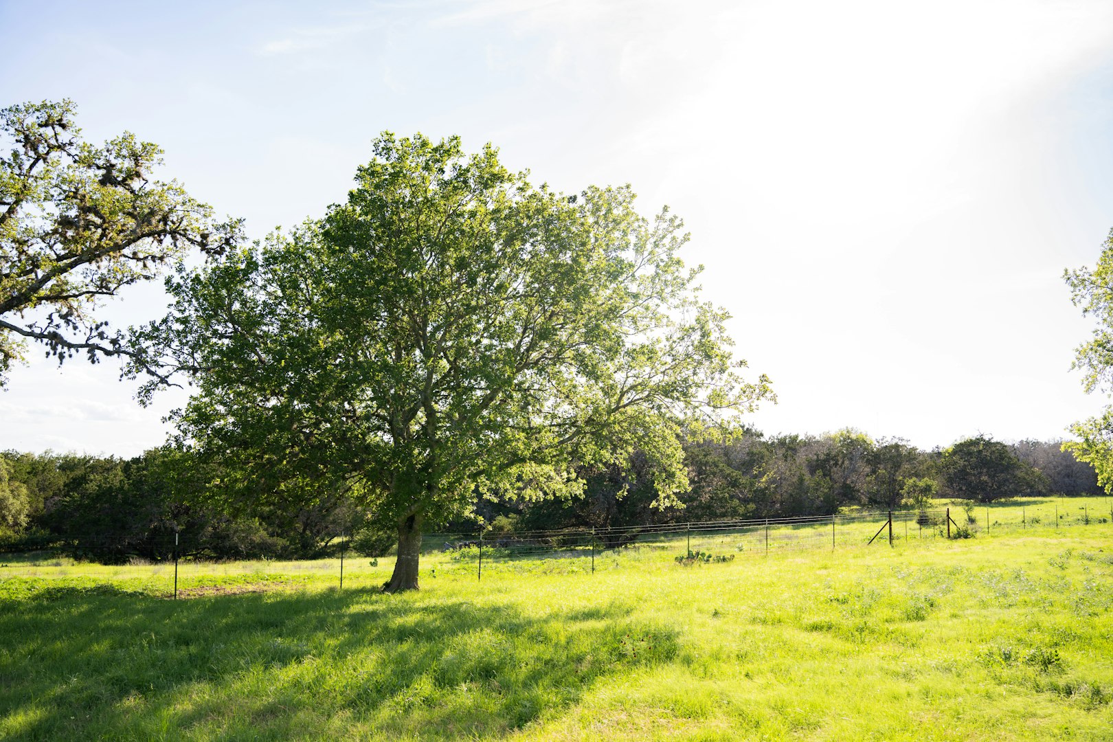 3584 Privilege Creek Road Pipe Creek TX 78063