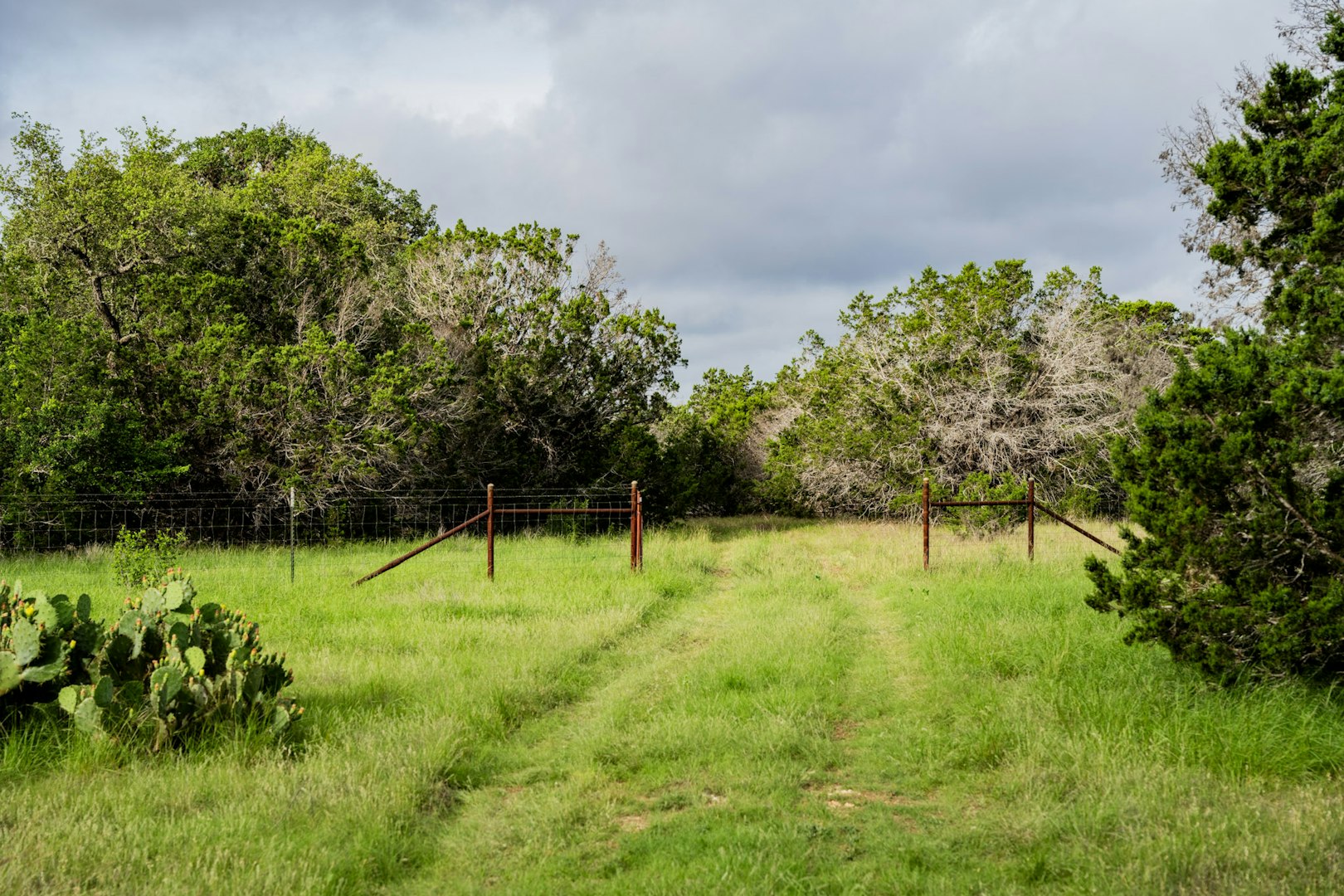 3584 Privilege Creek Road Pipe Creek TX 78063