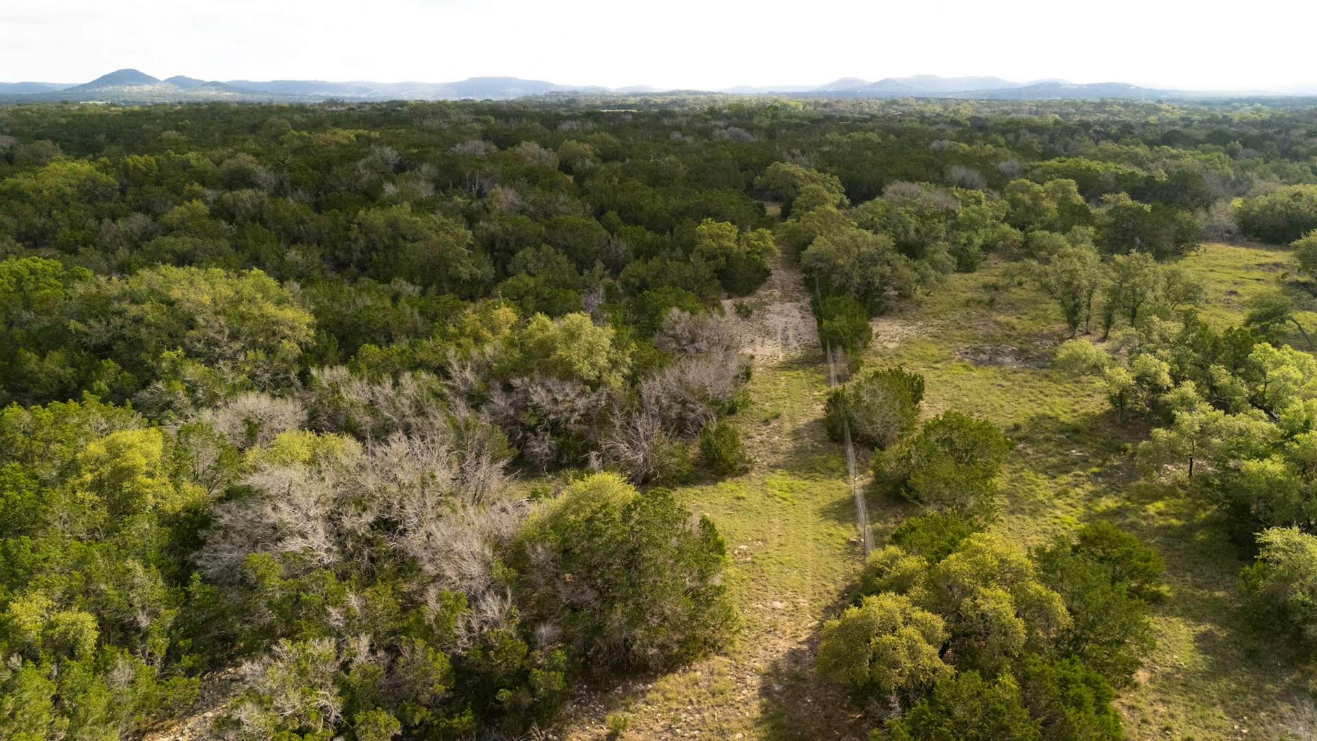 3584 Privilege Creek Road Pipe Creek TX 78063