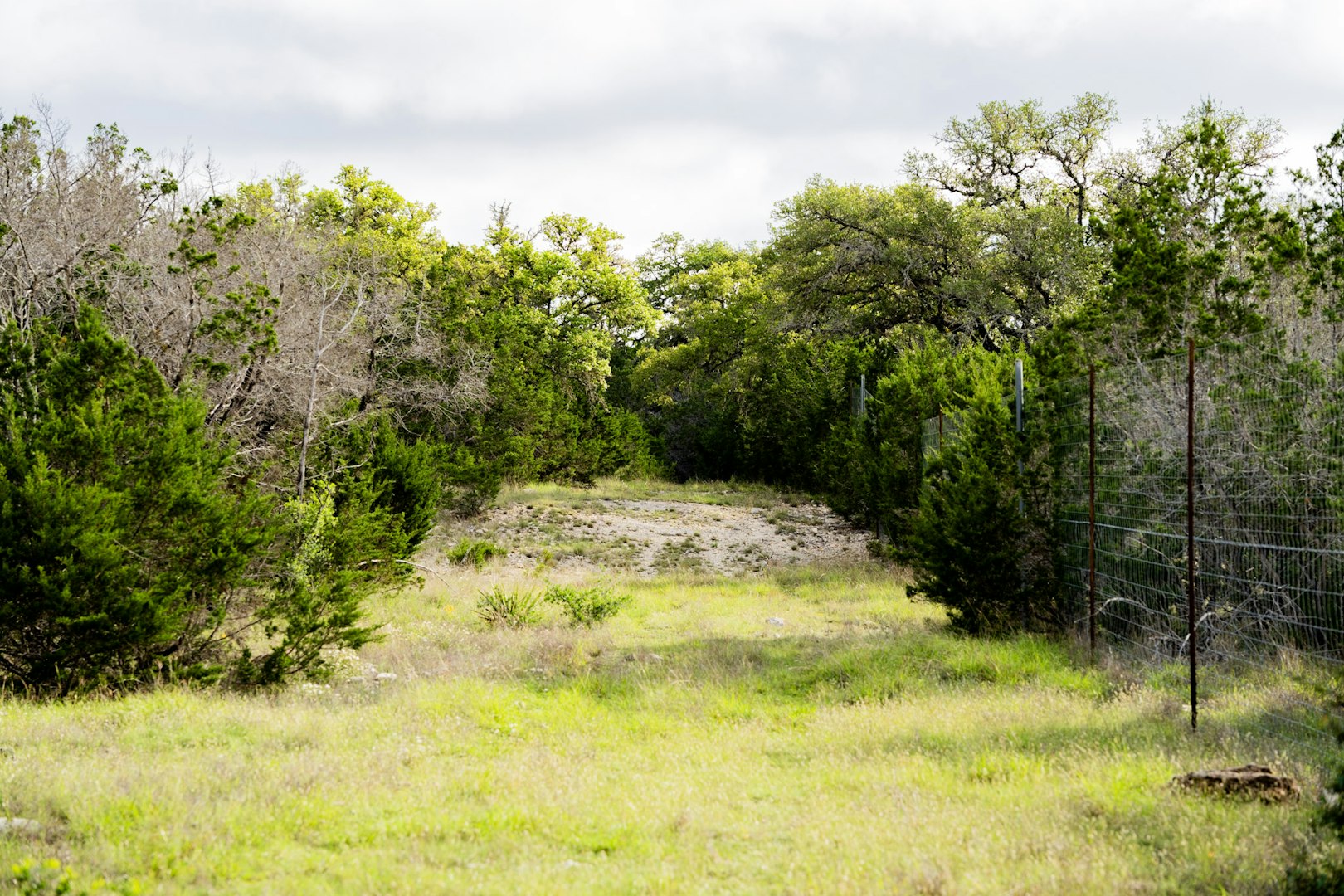 3584 Privilege Creek Road Pipe Creek TX 78063