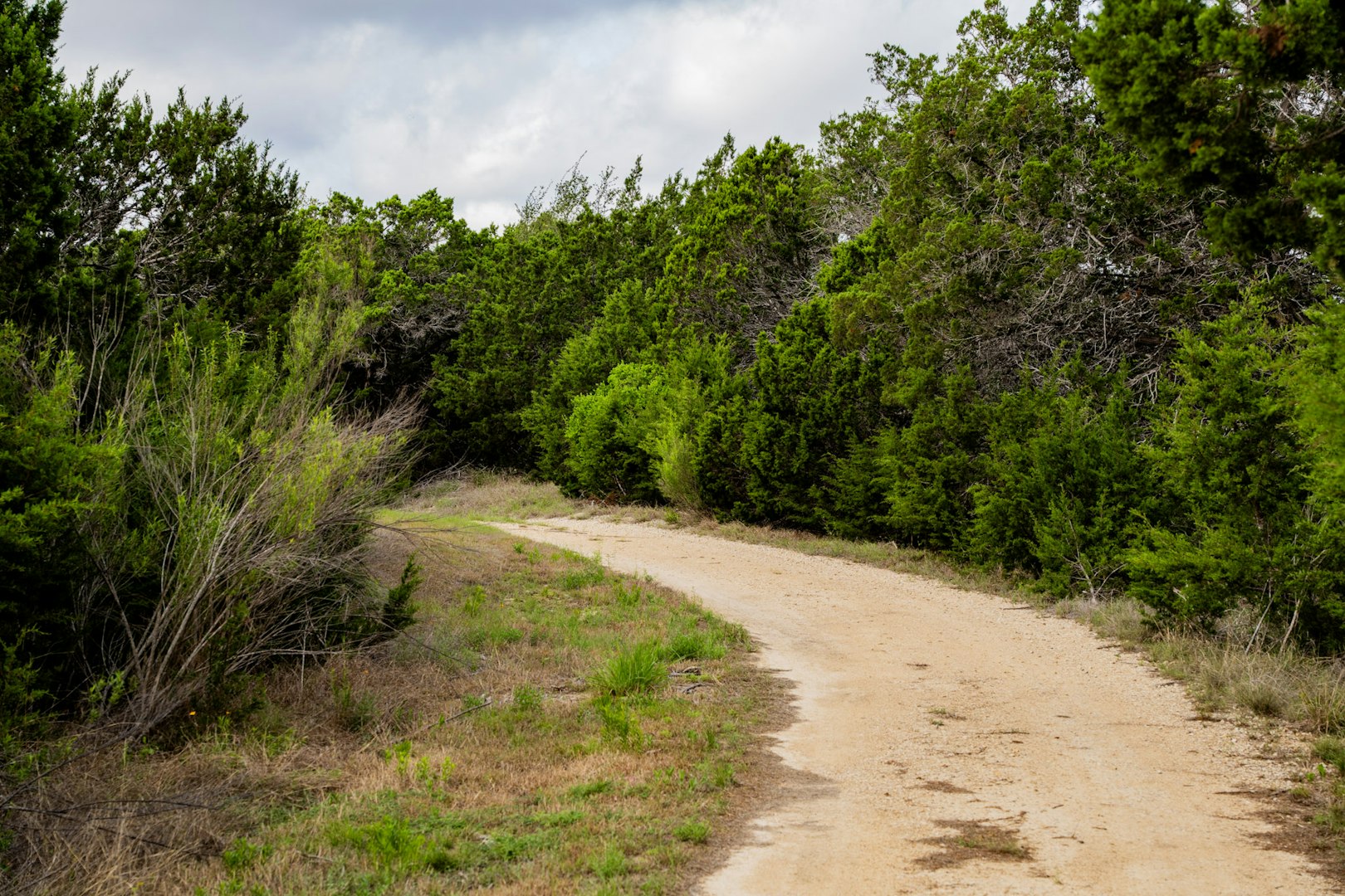 3584 Privilege Creek Road Pipe Creek TX 78063