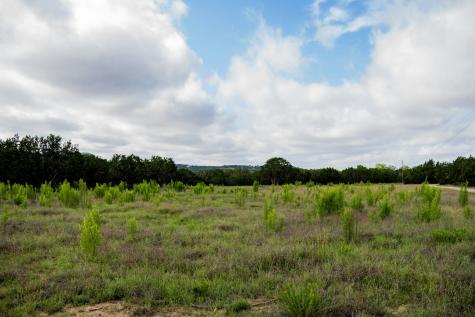 3584 Privilege Creek Road Pipe Creek TX 78063