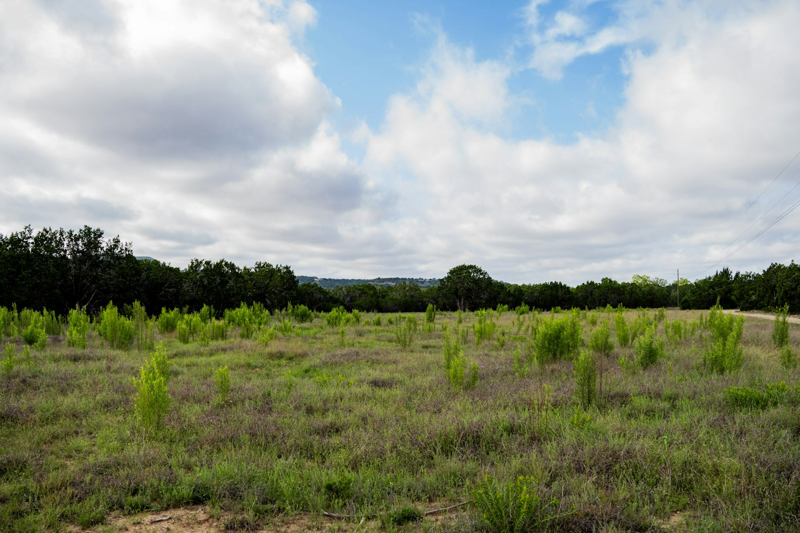 3584 Privilege Creek Road Pipe Creek TX 78063