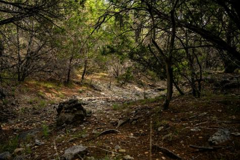 3584 Privilege Creek Road Pipe Creek TX 78063